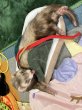 画像10: ホットドッグフェレットぬいぐるみ (10)