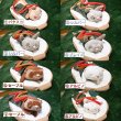 画像2: ホットドッグフェレットぬいぐるみ (2)